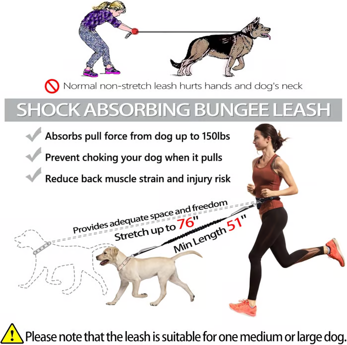 PawsFree Pro – Stress-Free Walks with Your Dog