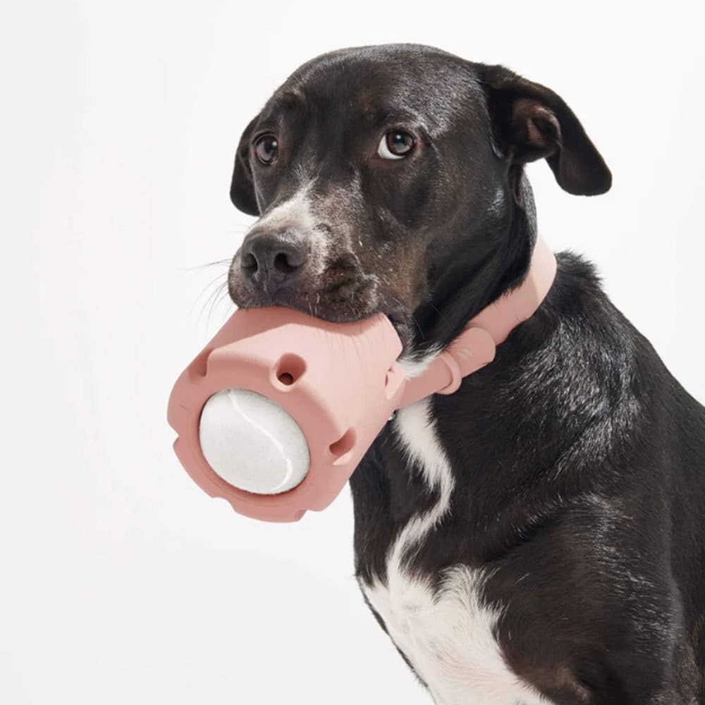 ChewJoy Pro – Healthy Teeth, Happy Dog