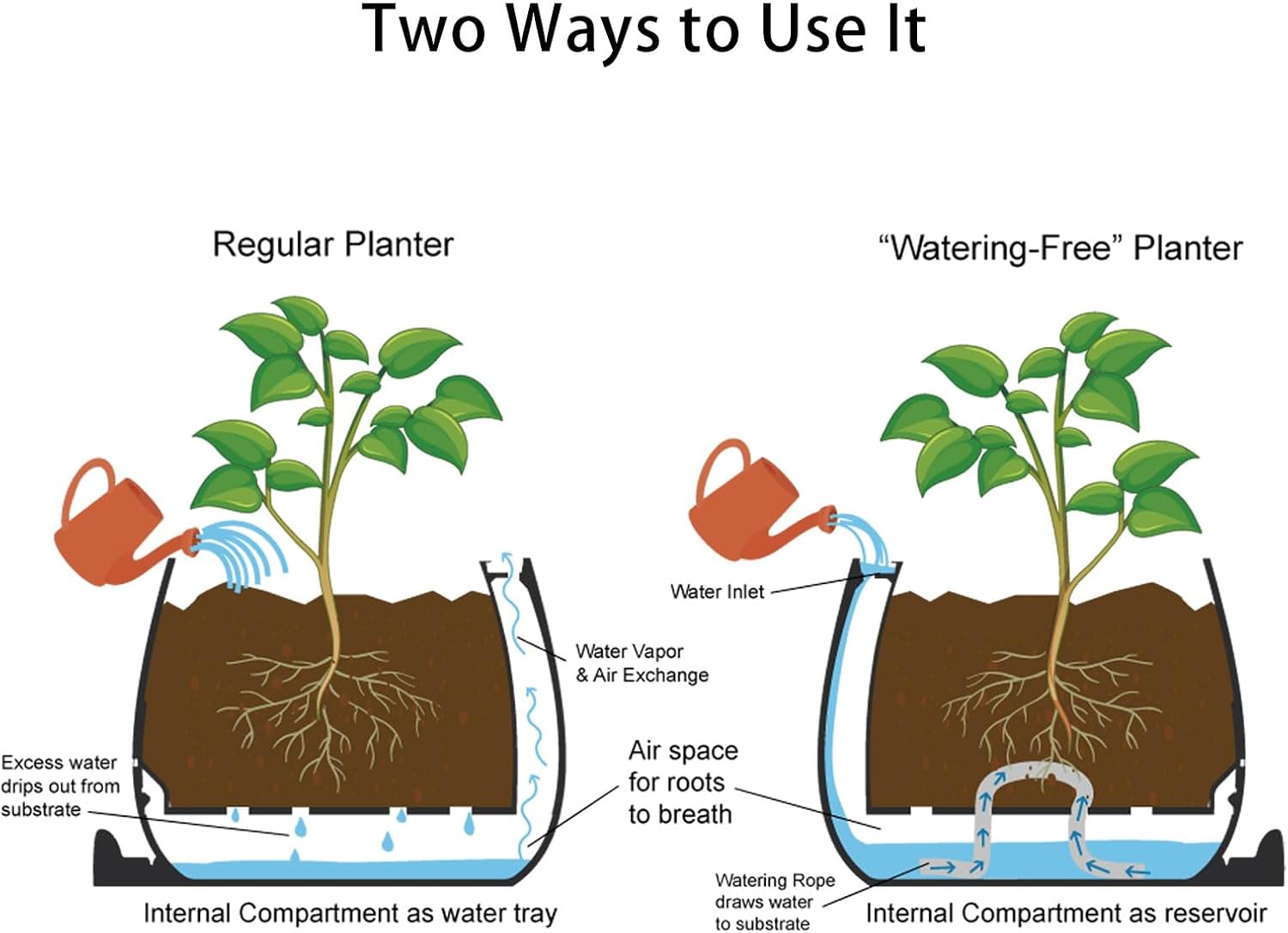 BloomBuddy – Smiling Plants, Happy Home