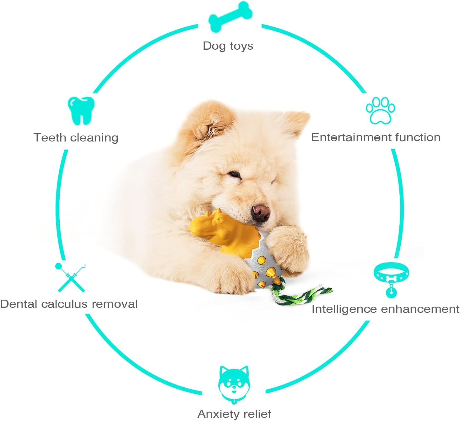 DinoEgg – The Indestructible Chew Egg for Healthy Dog Teeth!