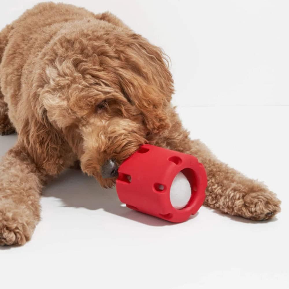 ChewJoy Pro – Healthy Teeth, Happy Dog