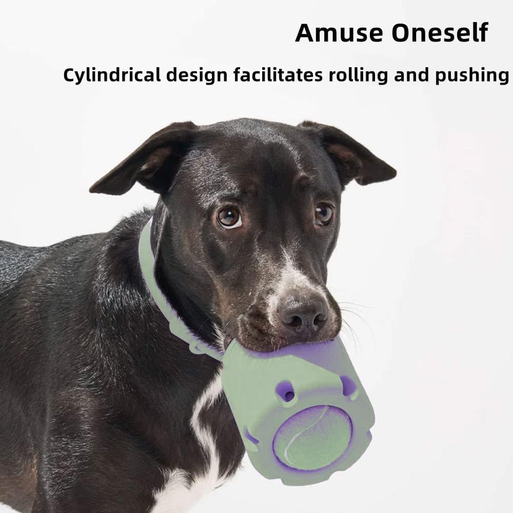 ChewJoy Pro – Healthy Teeth, Happy Dog