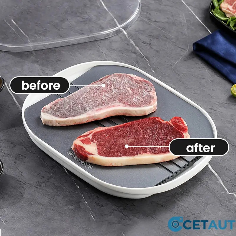 FreshThaw Pro – Meat in Minutes Instead of Hours!