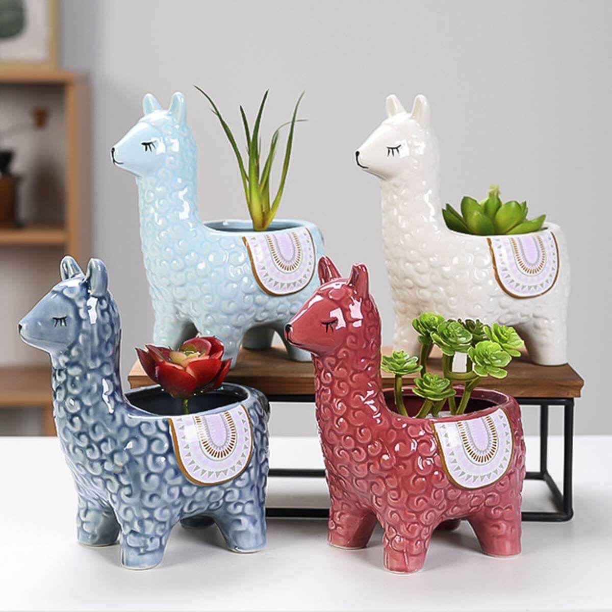 AlpaZen – Instantly Brighten Rooms with Enchanting Greenery