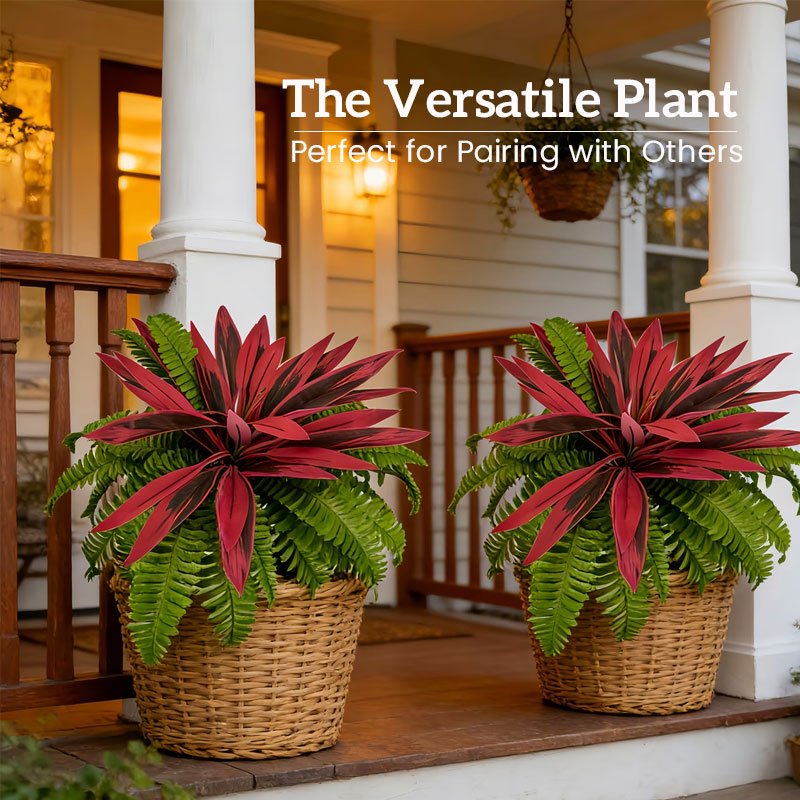 GreenViva – Lifelike plants that stay fresh without maintenance